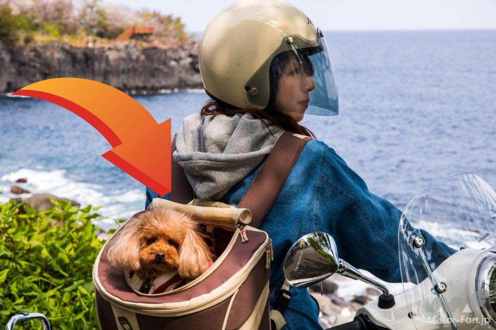 「愛犬とツーリング！　これってアリ？　それとも違反？｜ペットをバイクに乗せる方法」の3枚目の画像