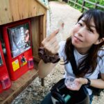 「【東京・奥多摩ツーリング／第九回　檜原村の滝を訪ねて】 村上菜つみのバイクでカフェめぐり」の6枚目の画像ギャラリーへのリンク