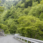 「【群馬県利根郡】バイクで行きたいツーリングスポット｜これぞ森林浴「奥利根ゆけむり街道」を行く」の16枚目の画像ギャラリーへのリンク