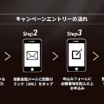 「neprosのラチェットハンドルが当たる！　しかもカワサキのロゴ入り！｜2023鈴鹿8耐連動プレゼントキャンペーン」の2枚目の画像ギャラリーへのリンク