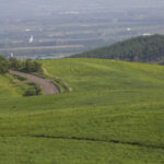 「【北海道河東郡】バイクで行きたいツーリングスポット｜広大な景色に圧倒される「ナイタイ高原」」の4枚目の画像ギャラリーへのリンク