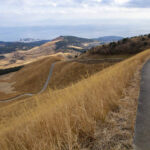 「【静岡県加茂郡】バイクで行きたいツーリングスポット｜高所から海を望む絶景に癒される「稲取細野高原」。」の10枚目の画像ギャラリーへのリンク