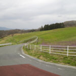 「【埼玉県秩父郡】バイクで行きたいツーリングスポット｜秩父高原牧場 天空のポピー。」の3枚目の画像ギャラリーへのリンク
