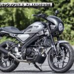 「XSR125の走りは想像以上!? 純正アクセサリーでカスタムも準備万端【動画・モトチャンプTV】」の8枚目の画像ギャラリーへのリンク