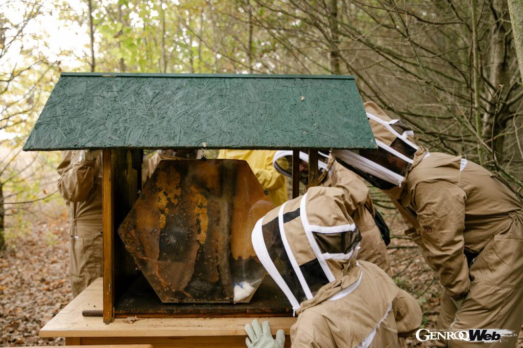 「60万匹のミツバチを飼育してきたランボルギーニが「世界蜂の日」に研究情報を公開」の9枚目の画像