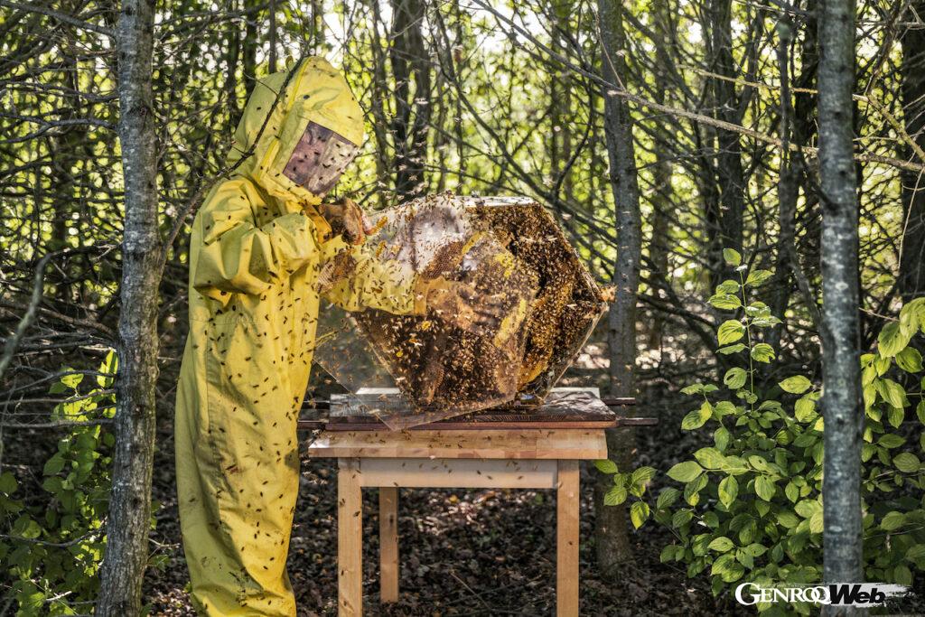 ランボルギーニがサンタアガタ・ボロネーゼで進める養蜂プロジェクト。