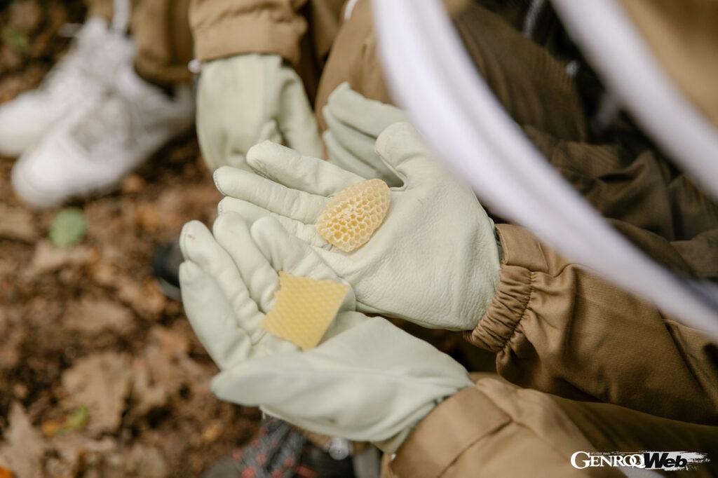 「60万匹のミツバチを飼育してきたランボルギーニが「世界蜂の日」に研究情報を公開」の12枚目の画像
