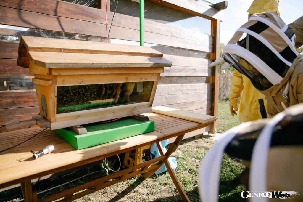 「60万匹のミツバチを飼育してきたランボルギーニが「世界蜂の日」に研究情報を公開」の13枚目の画像