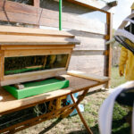 「60万匹のミツバチを飼育してきたランボルギーニが「世界蜂の日」に研究情報を公開」の13枚目の画像ギャラリーへのリンク