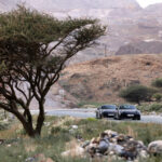 「ハイブリッド搭載の新型「ポルシェ 911」がドバイでの最終テストを完了「ワールドプレミアは日本時間5月28日22時」」の8枚目の画像ギャラリーへのリンク