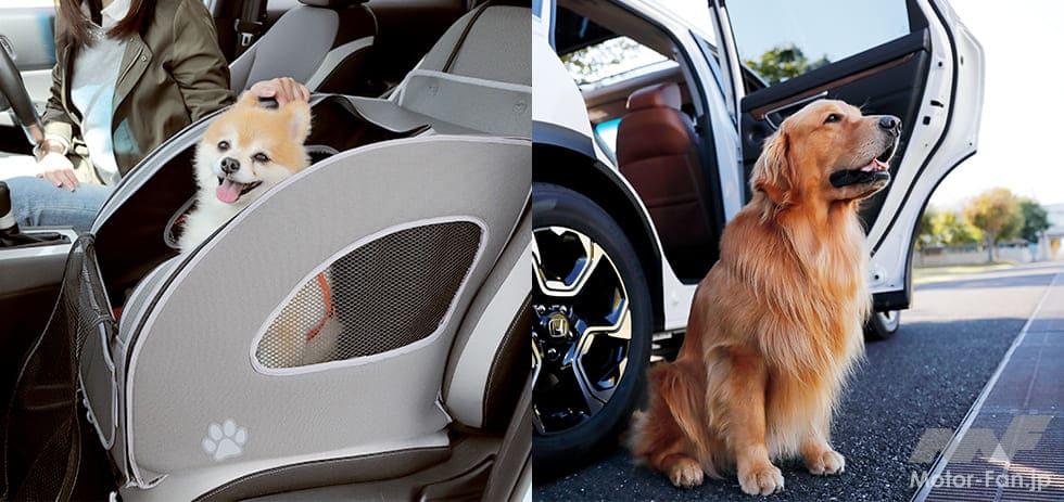 「シフトレバーが肉球！　愛犬とのドライブをもっと楽しく！ かわいらしさ満点のアイテム ホンダアクセス Honda Dog 【CAR MONO図鑑】」の1枚目の画像