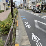「歩道の植え込みは百害あって一利のみ！ 「日本の道路を考える」」の1枚目の画像ギャラリーへのリンク