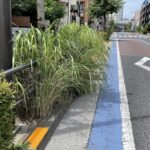 「歩道の植え込みは百害あって一利のみ！ 「日本の道路を考える」」の4枚目の画像ギャラリーへのリンク