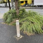 「歩道の植え込みは百害あって一利のみ！ 「日本の道路を考える」」の7枚目の画像ギャラリーへのリンク