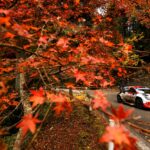 「【WRC結果】ラリージャパン デイ3、トヨタが1-2-3を堅持、勝田貴元は5ステージで最速と躍動！」の2枚目の画像ギャラリーへのリンク