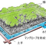 「ヤマハ発動機らがインドネシアにおけるマングローブ植林プロジェクトを開始。美しい海を未来に残す」の2枚目の画像ギャラリーへのリンク