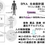 「ヒトゲノム・デザイン・ビ－クルとは？ 遺伝子アルゴリズムによる最適設計【シン自動車性能論】」の1枚目の画像ギャラリーへのリンク