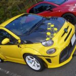 「フィアット500からアバルト595まで新旧600台が大集合!!『2024 All Japan FIAT&ABARTH 500 Meeting』に行ってみた」の10枚目の画像ギャラリーへのリンク