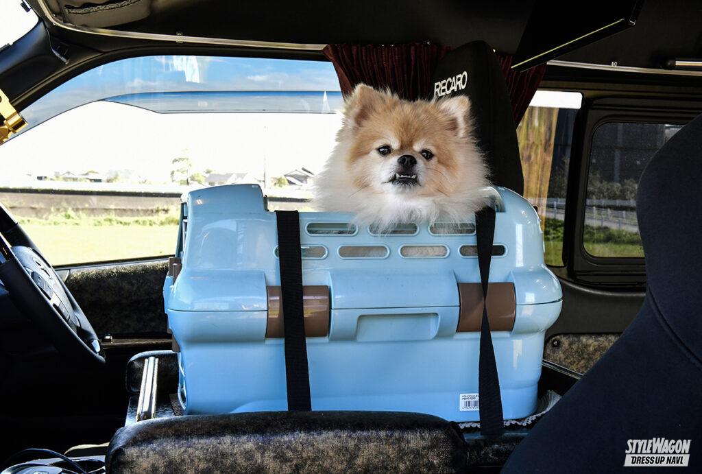 「愛犬と一緒に気ままな車中泊旅！　MDNマドンナなら、オーナーのリクエストに応える最高のハイエースを製作してくれる！【トヨタ・200系ハイエースは遊べる最強1BOXだ！　#010】」の11枚目の画像