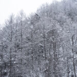 「極寒だけど特別な体験！ 憧れの雪中キャンプ、経験者が語る注意すべきポイント！ #オシャレで便利なクルマ系ギア 第15弾（5）」の2枚目の画像ギャラリーへのリンク