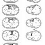 「世界初のダウンサイジング／ミラーサイクルエンジン：マツダKJ-ZEM＠ユーノス800［内燃機関超基礎講座］」の6枚目の画像ギャラリーへのリンク