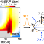「東京工業大学 など：巨大な磁場応答を示す三角格子磁性半導体を開発、磁気秩序温度よりもはるかに高温から巨大な異常ホール効果を発現させることに成功」の3枚目の画像ギャラリーへのリンク