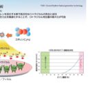 「明電舎：世界初低温ダメージレス無接着剤接合技術を確立」の6枚目の画像ギャラリーへのリンク