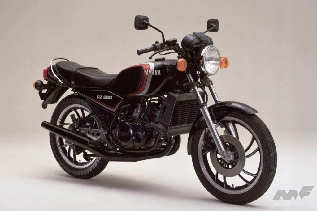 RZ250 350 ダブルキャリパーフォーク 1個 車・バイク・自転車 RZ250 350 ダブルキャリパーフロント