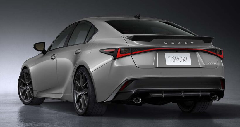 EMP サンセベリア Lexus レクサス / 最後が成長株　SA386 EMP サンセベリア Lexus レクサス / 最後が成長株 SA386 EMP