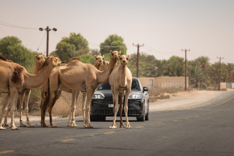 世界各地で行われた、「ポルシェ カイエン エレクトリック」の実走テスト。