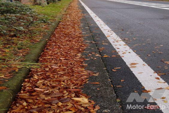 側溝に溜まっているりさー