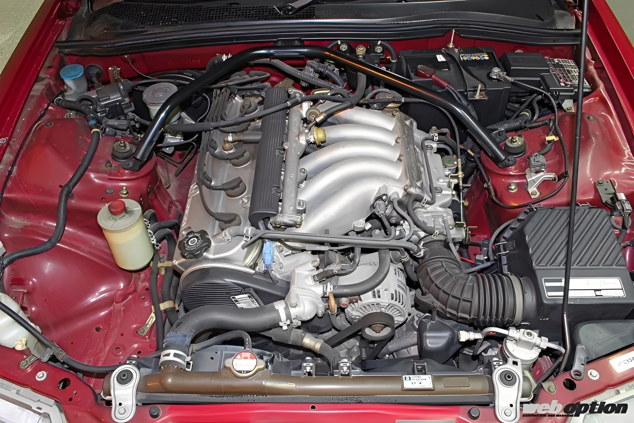 マンダラーヴァ マンドラゴラ/Mandragora(5段/V14)✔️ 3rd ascent. FA by