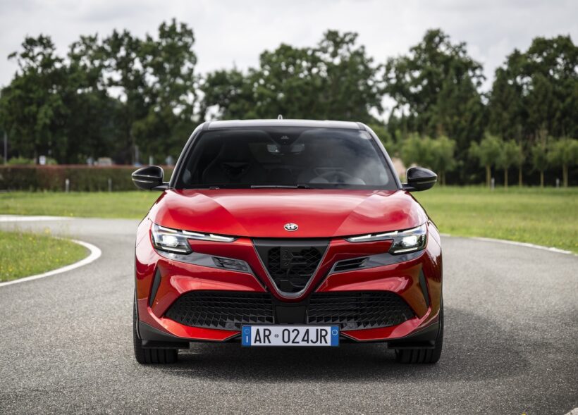 ジュニア イブリダ