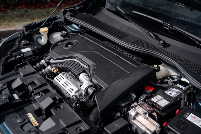 ジュニア イブリダ