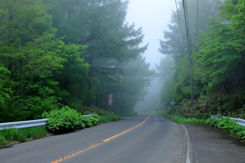 霧が立ち込める、森林の間にある道路