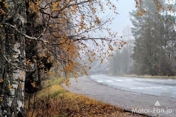 霧による視界不良の道