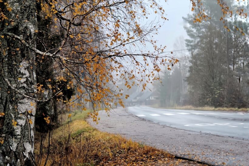 霧による視界不良の道