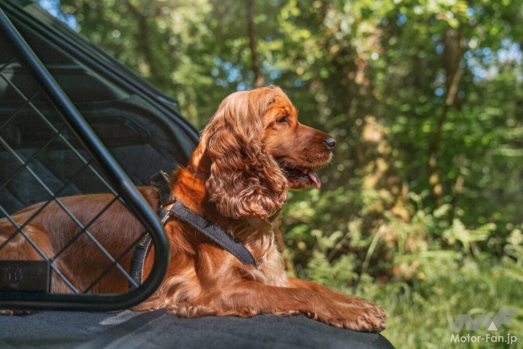 「しっぽのある家族」が商品企画やマーケティングコミュニケーションの鍵を握る部分も大きくなっていくだろう。