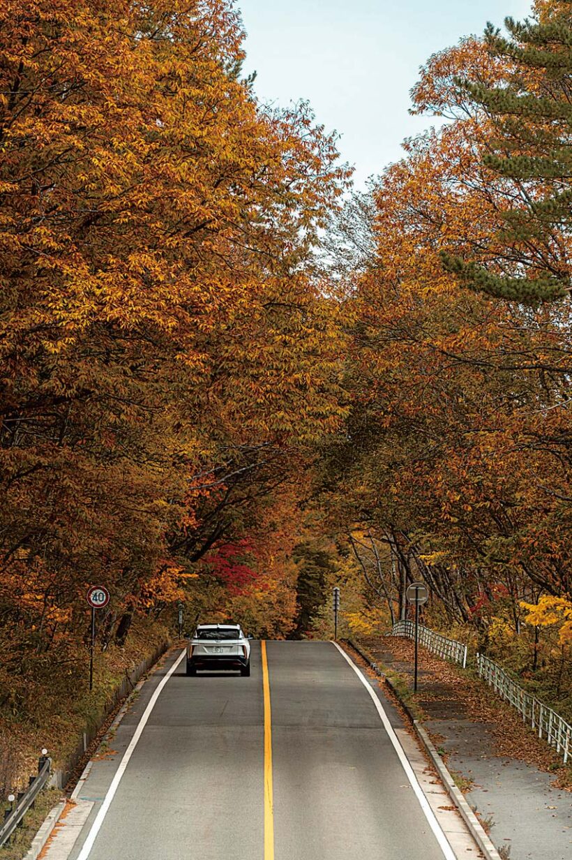 【Yatsugatake】八ヶ岳の紅葉を目指したのは、取材時がまさにシーズンだったというだけでなく、東名道より中央道の方がサービスエリアの充電器が空いているから。週末の移動もあったが、おかけで“充電待ち”は皆無だった。