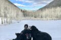 灼熱のサファリ参戦を終え、雪深い我が家へと戻ったジェフ・ズワート。