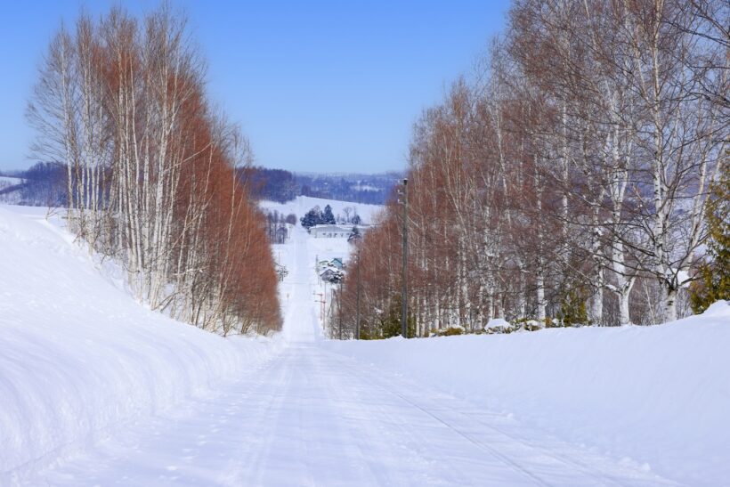 雪道の写真