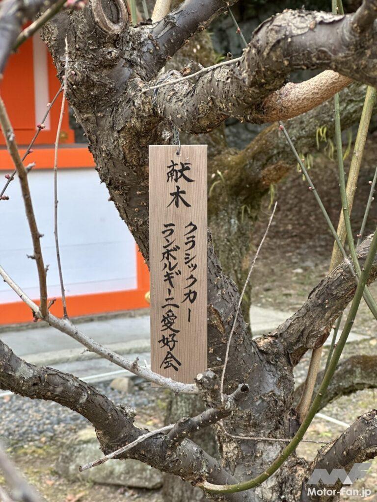 北野天満宮に献木した梅の木。10年目。