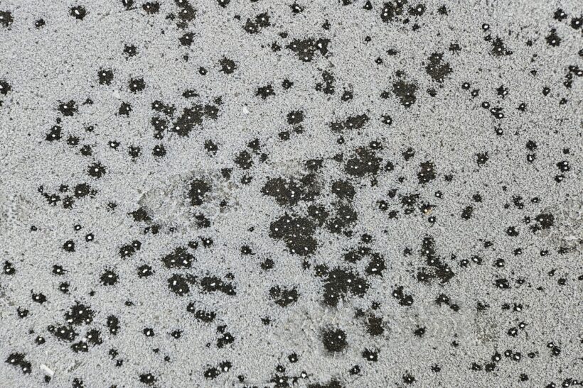 塩カルが撒かれている写真