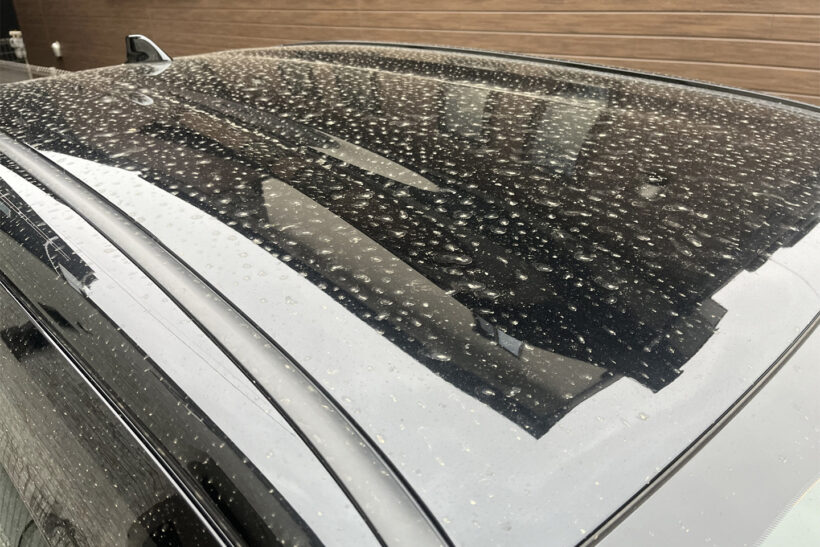 花粉で汚れた車のボディ