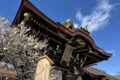 北野天満宮にて