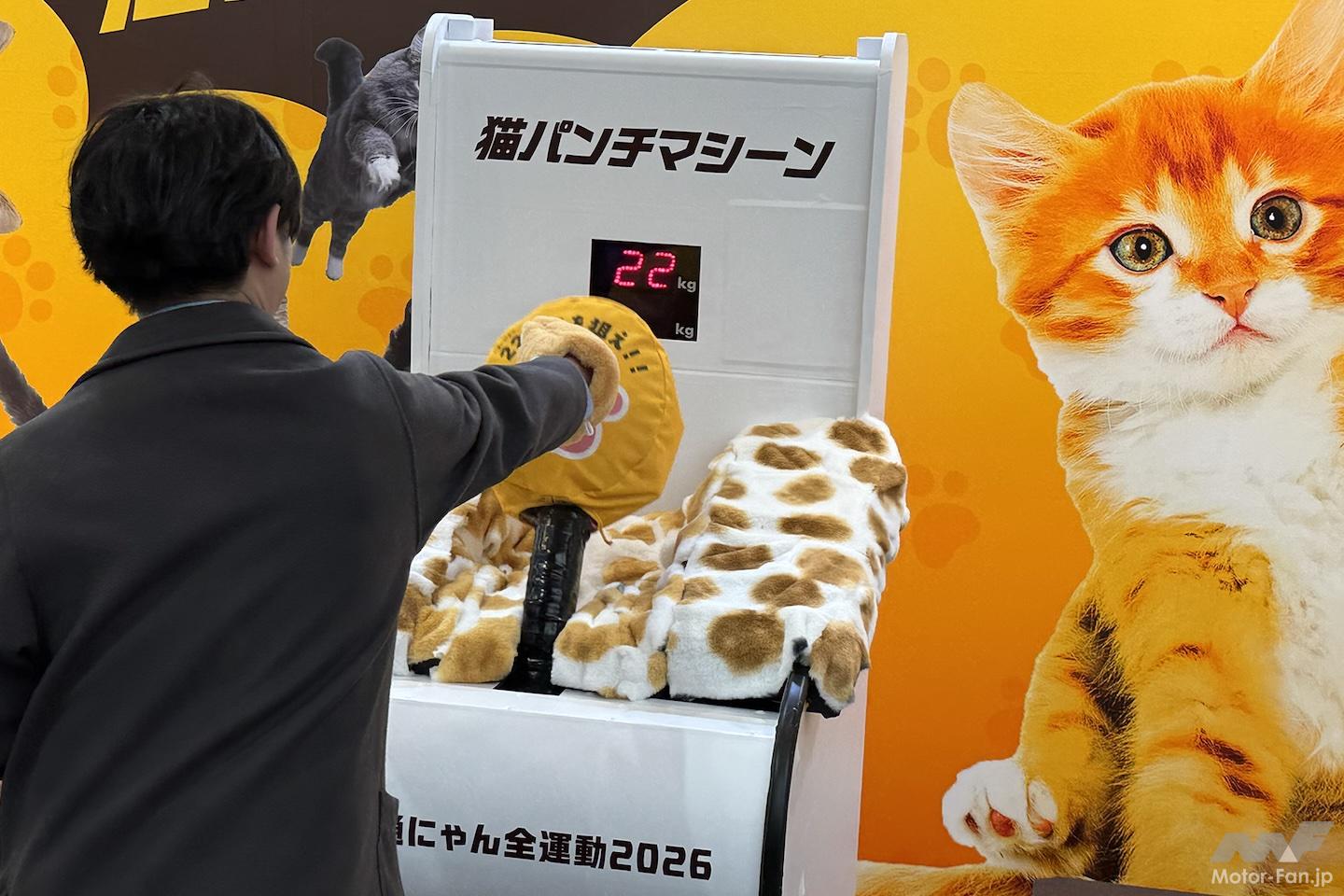 猫パンチで募金！カー用品専門店の「イエローハット」が、今年も猫の命