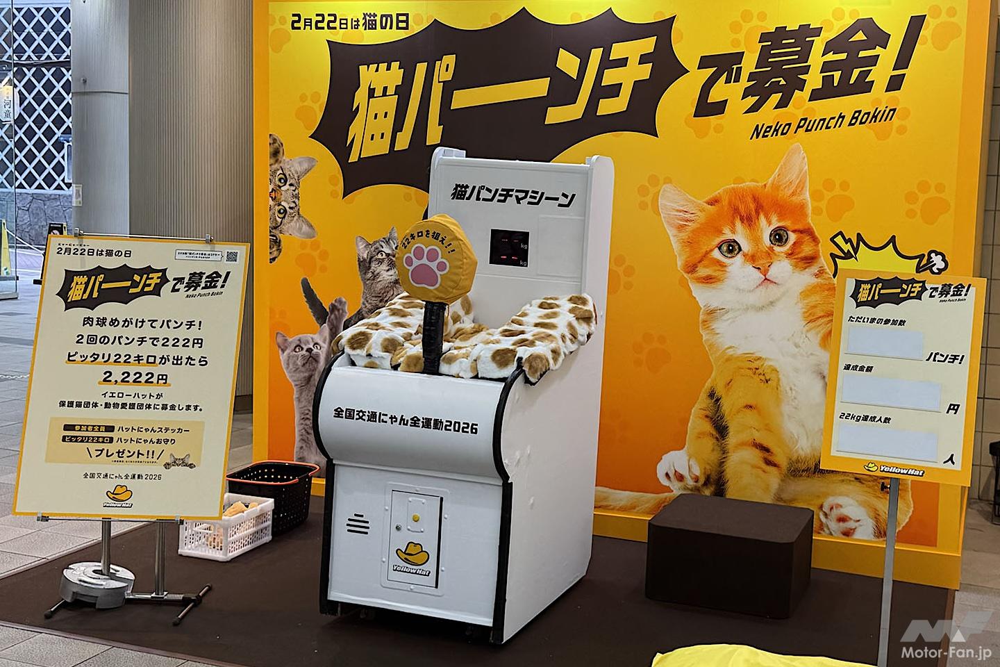 猫パンチで募金！カー用品専門店の「イエローハット」が、今年も猫の命