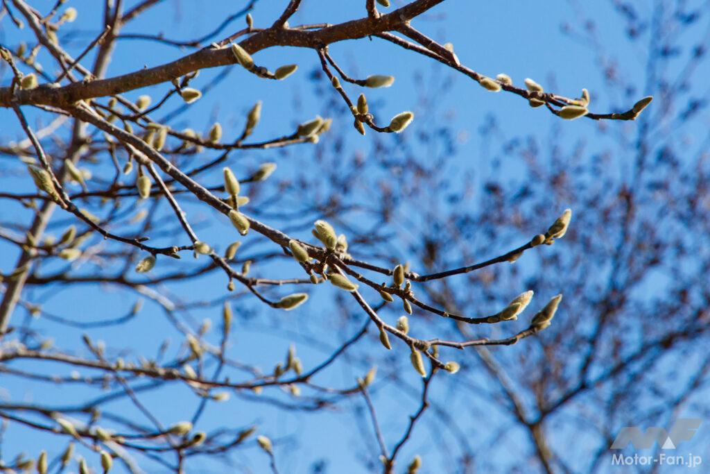 BIKES美人図鑑 岩田亜矢那　六甲