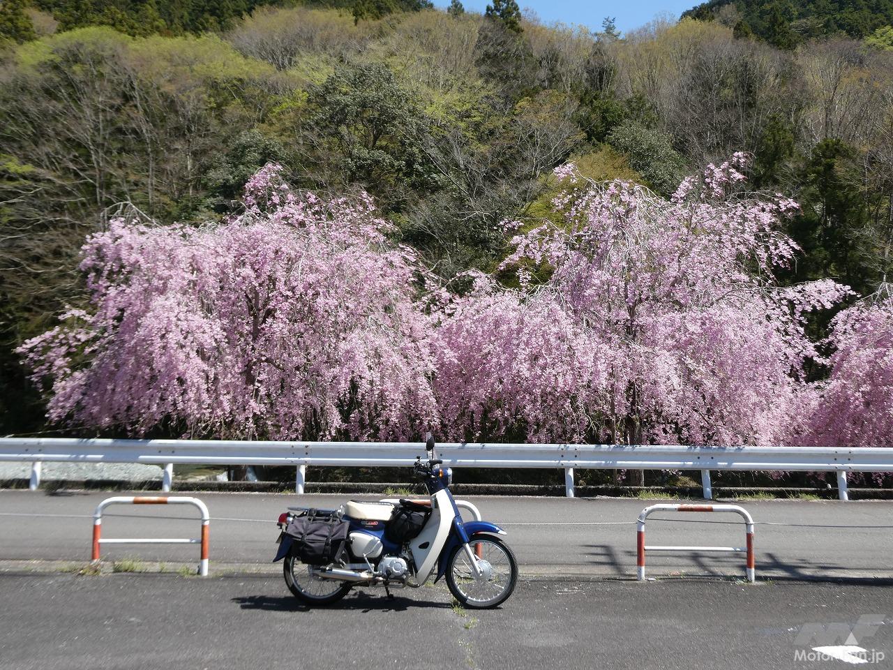 信州の山々　半澤満 信州の山々 半澤満 【公式通販】