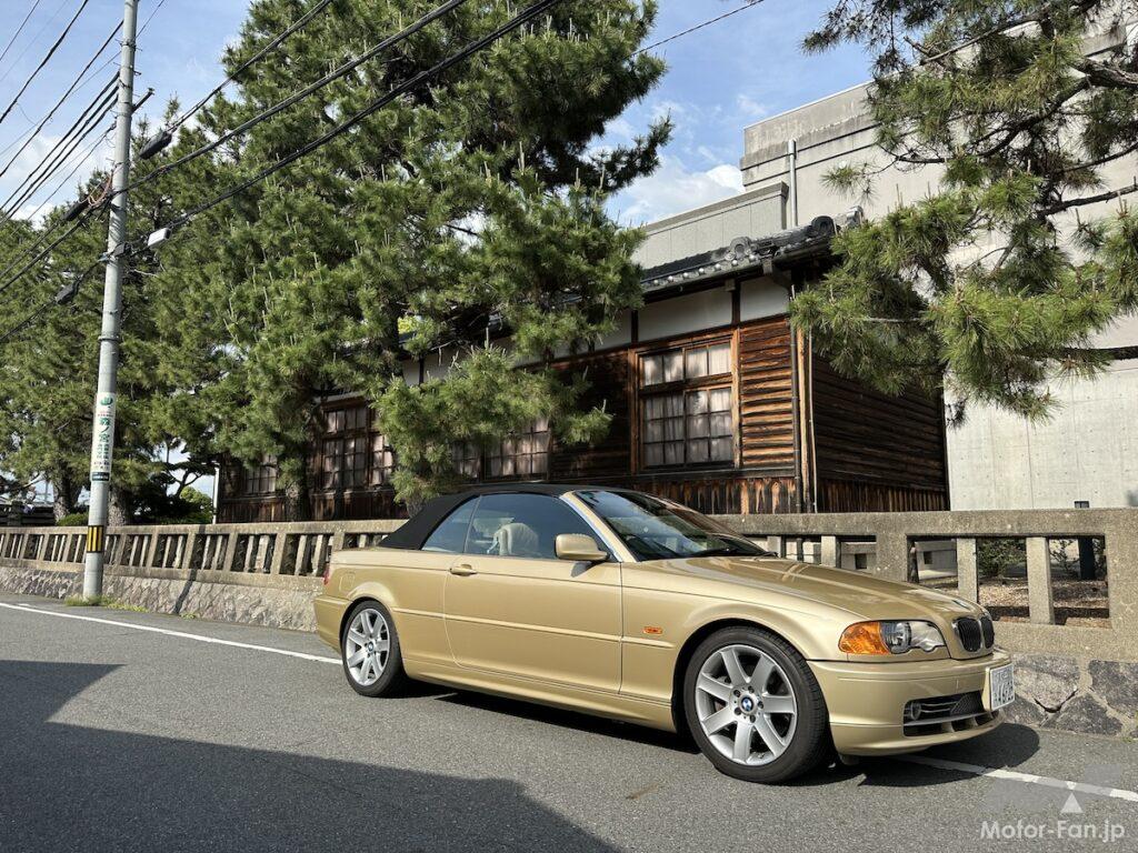 シロカブ